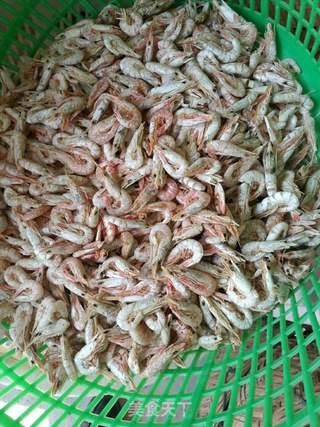 野生虾米制作的做法步骤:3