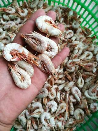 野生虾米制作的做法步骤:4