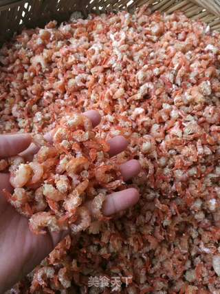 野生虾米制作的做法步骤:6