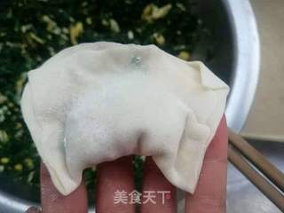 酸辣汤荠菜饺子的做法步骤:5