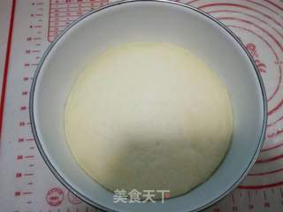 白菜猪肉包子的做法步骤:8