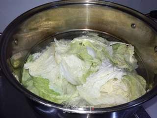 白菜猪肉包子的做法步骤:2