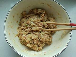 白菜猪肉包子的做法步骤:7