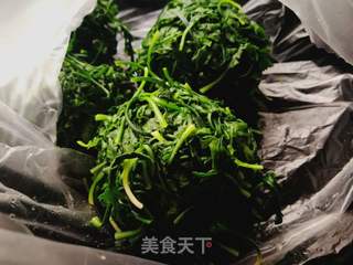 荠菜保存方法的做法步骤：5