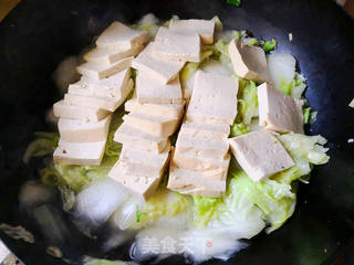 白菜炖豆腐的做法步骤：6