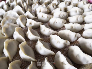芹菜水饺的做法步骤:5