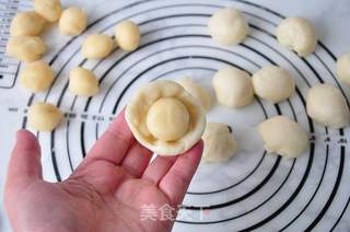芝麻小酥饼的做法步骤:5