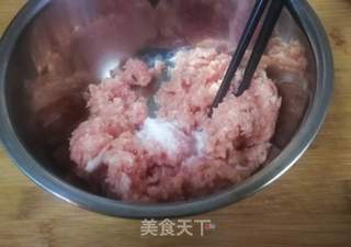 猪肉茴香饺子的做法步骤:2