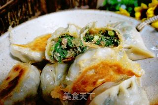 猪肉茼蒿馅水煎饺的做法步骤:9