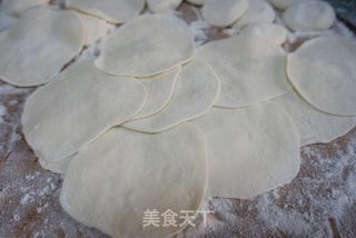 猪肉茼蒿馅水煎饺的做法步骤:5