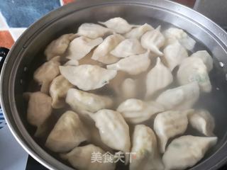 白菜猪肉水饺的做法步骤:8