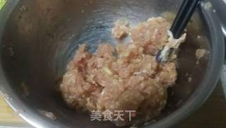 猪肉茴香包子的做法步骤：7