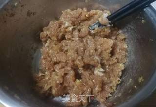 猪肉茴香包子的做法步骤:8