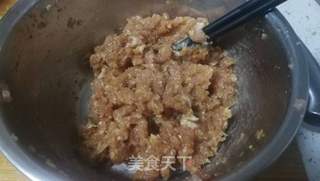 猪肉茴香包子的做法步骤:9