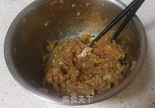 猪肉茴香包子的做法步骤：14