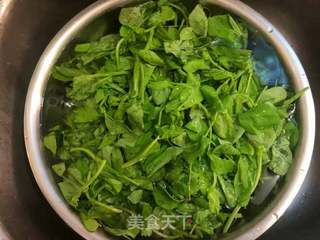 蒜蓉豌豆尖的做法步骤:3