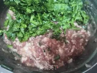 荠菜肉末小馄饨的做法步骤:3