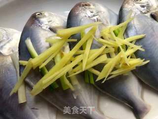 清蒸白鲳鱼的做法步骤:6