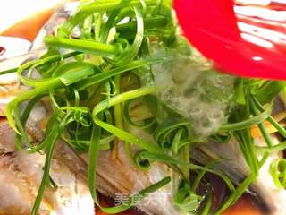 清蒸白鲳鱼的做法步骤:11