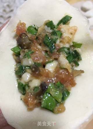 杏鲍菇海参水饺的做法步骤:21