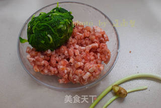 鲜嫩多汁的荠菜饺子的做法步骤:6