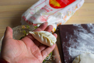 鲜嫩多汁的荠菜饺子的做法步骤:10
