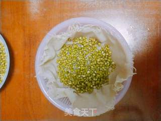 自发绿豆芽的做法步骤:4