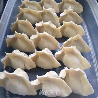 油泼萝卜羊肉饺子的做法步骤:8