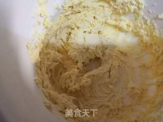 椰蓉小饼干的做法步骤:4