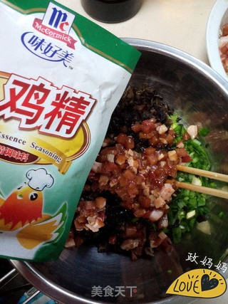韭菜木耳饺子的做法步骤:9