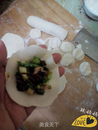 韭菜木耳饺子的做法步骤:11