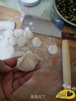 韭菜木耳饺子的做法步骤:12
