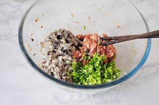平菇肉馅饺子的做法步骤:5