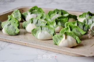 平菇肉馅饺子的做法步骤：13