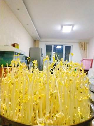 自发绿豆芽的做法步骤:9