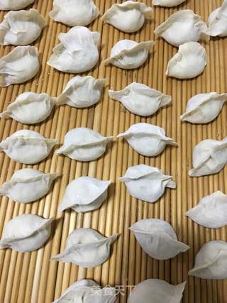 扇贝丁海参饺子的做法步骤:19