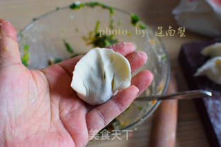 鲜香可口的荠菜饺子的做法步骤:8