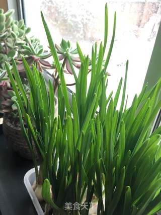 蒜苗肉馅烤包子的做法步骤:18