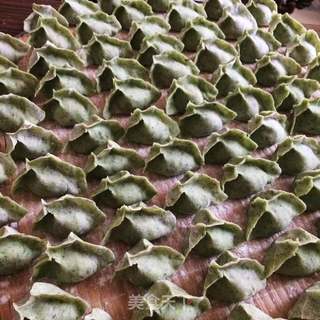 翡翠饺子的做法步骤:8