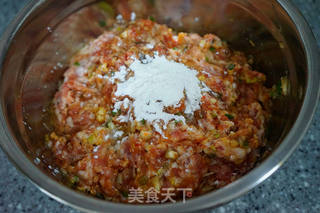 萝卜肉馅儿饺子-------冬吃萝卜夏吃姜的做法步骤:8