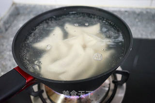 萝卜肉馅儿饺子-------冬吃萝卜夏吃姜的做法步骤:18
