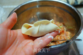 萝卜肉馅儿饺子-------冬吃萝卜夏吃姜的做法步骤:15