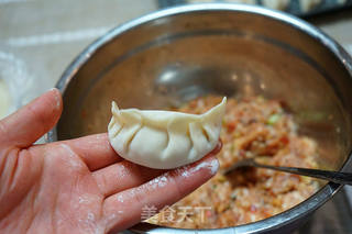 萝卜肉馅儿饺子-------冬吃萝卜夏吃姜的做法步骤:16