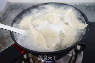 萝卜肉馅儿饺子-------冬吃萝卜夏吃姜的做法步骤:21