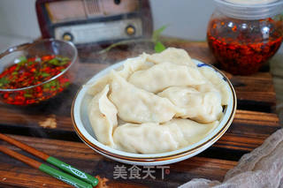 萝卜肉馅儿饺子-------冬吃萝卜夏吃姜的做法步骤:22