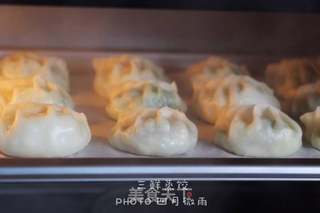 年夜饭之——久财三鲜蒸饺 #ACA北美电器#的做法步骤:16