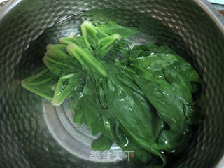 拌菠菜的做法步骤:4
