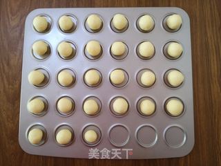 脆脆的奶香椰蓉球的做法步骤:11