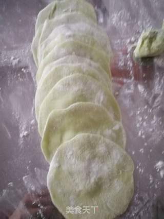 #团圆饭#白菜饺子的做法步骤:12