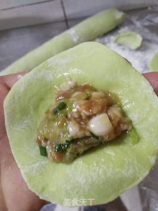 #团圆饭#白菜饺子的做法步骤:14